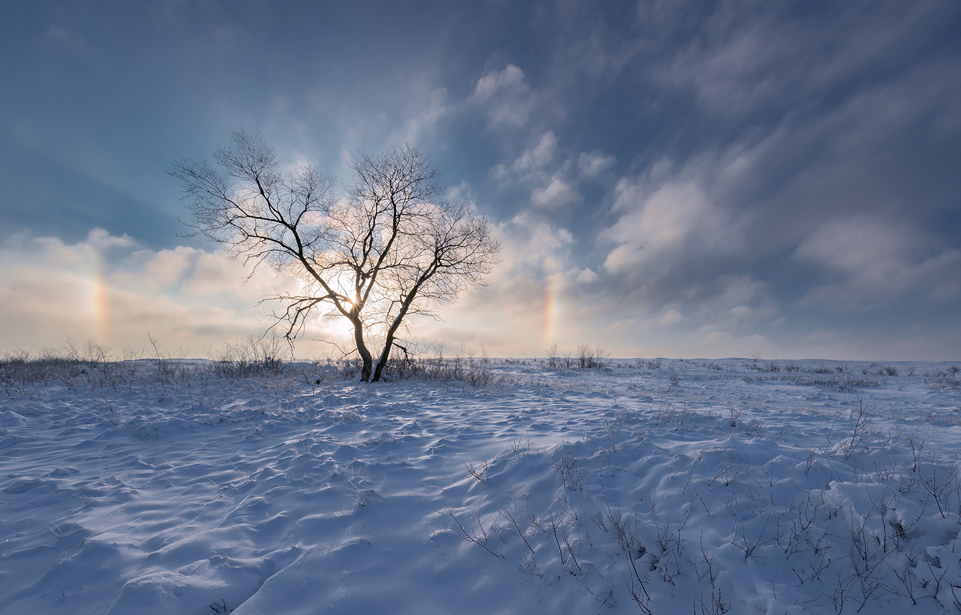 Морозное гало