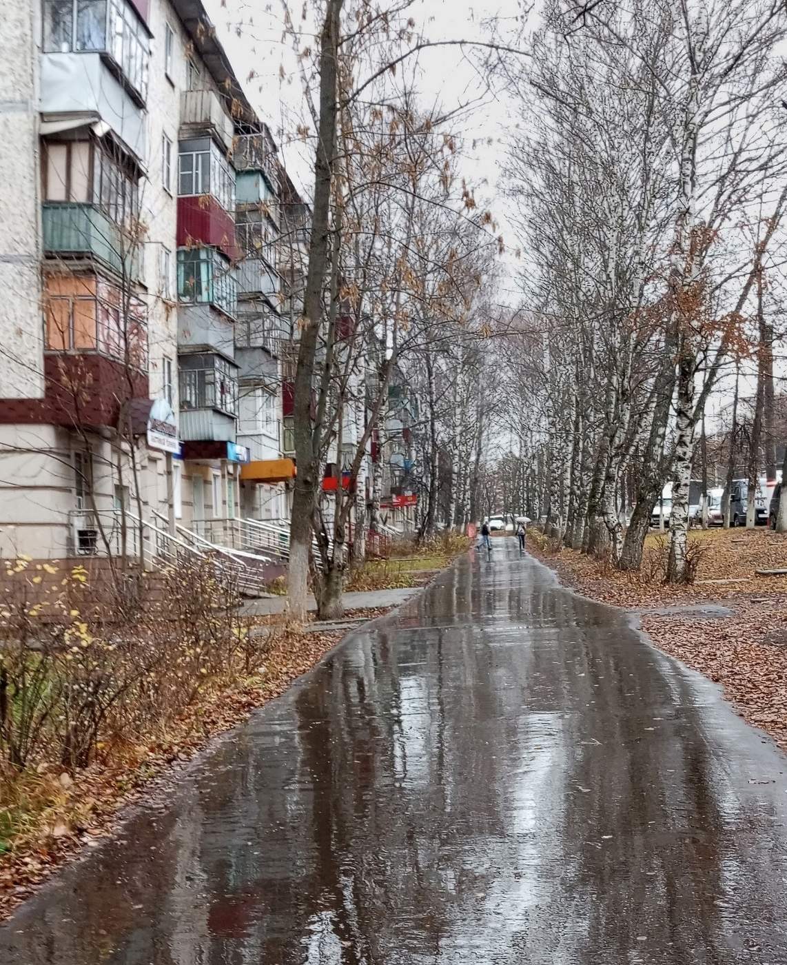 Осенний дождь