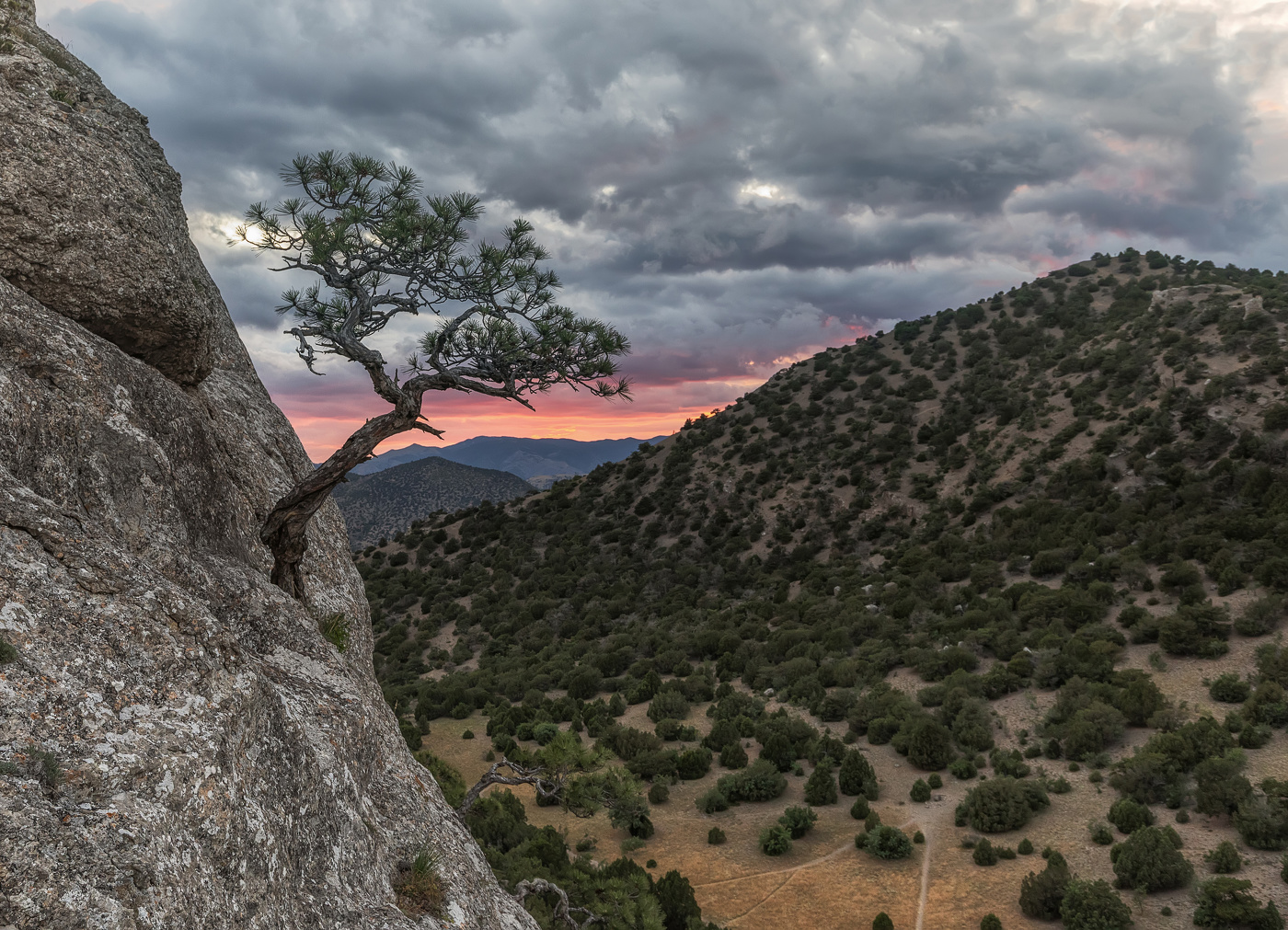 Сила жизни...