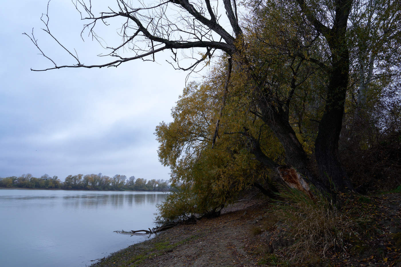 хмурое утро ноября