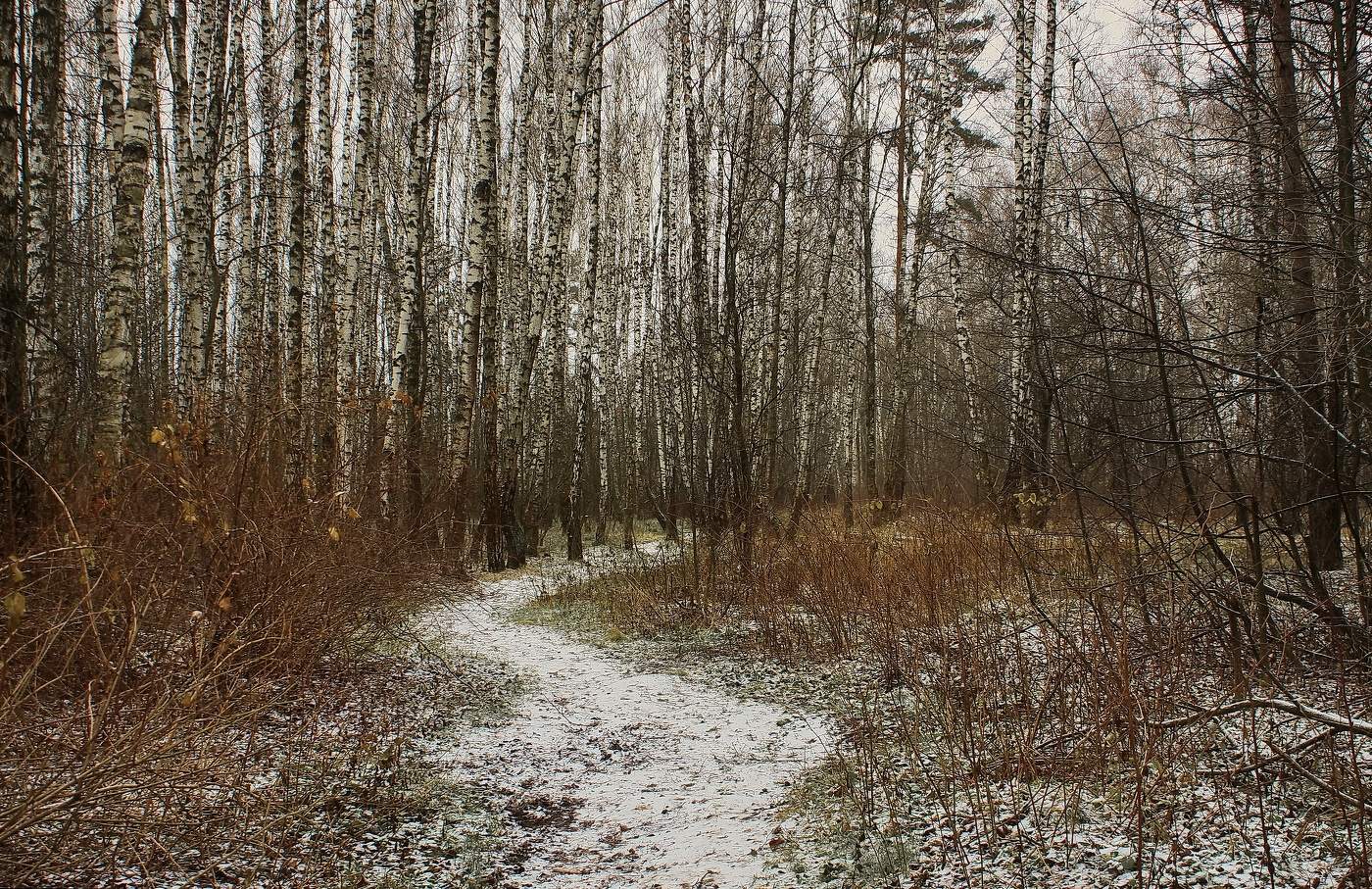 Первый снег