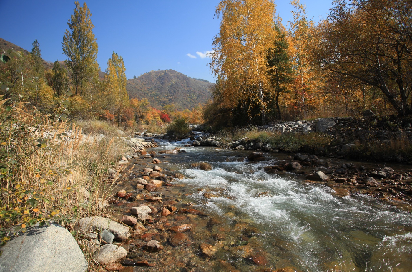 Солнечный день