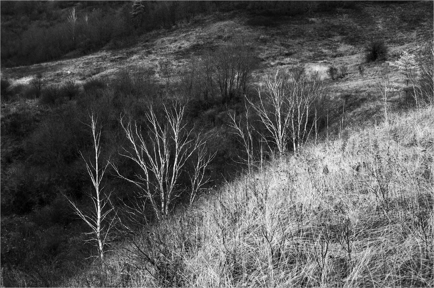 борьба борба с ослом