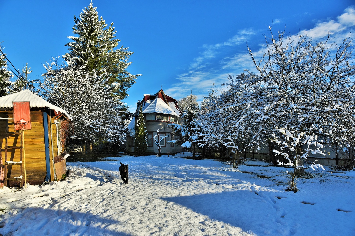 "Глядь, зима катит в глаза ..."