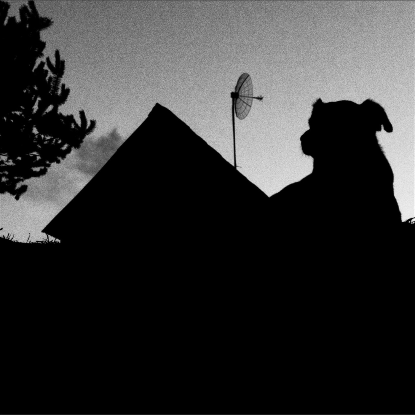 Жизнь вокруг