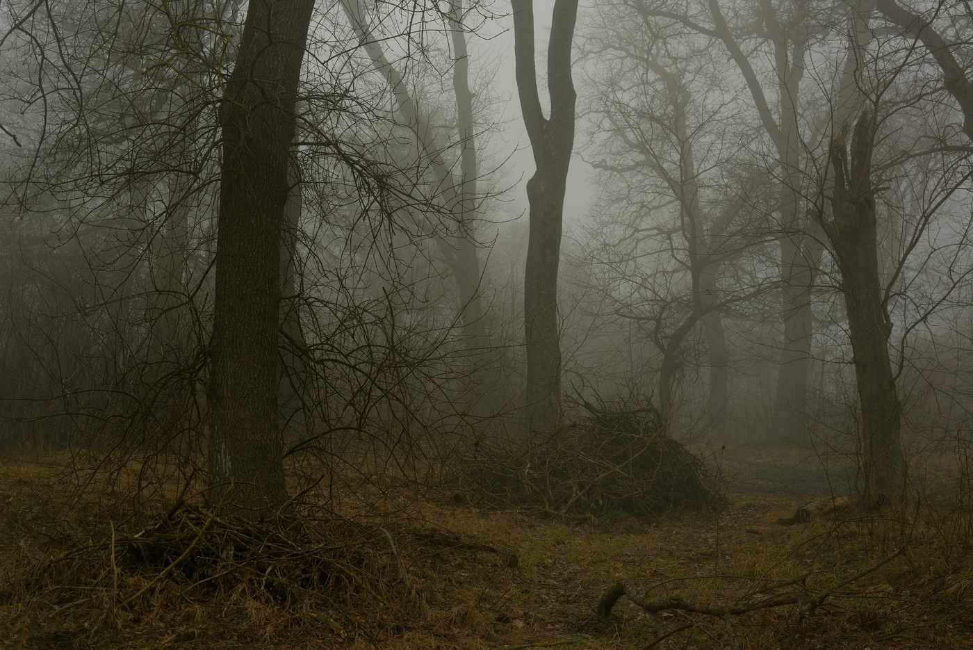 Хмурое утро