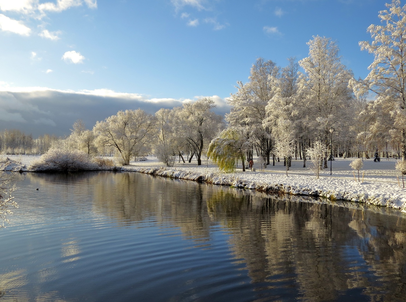 первый снег