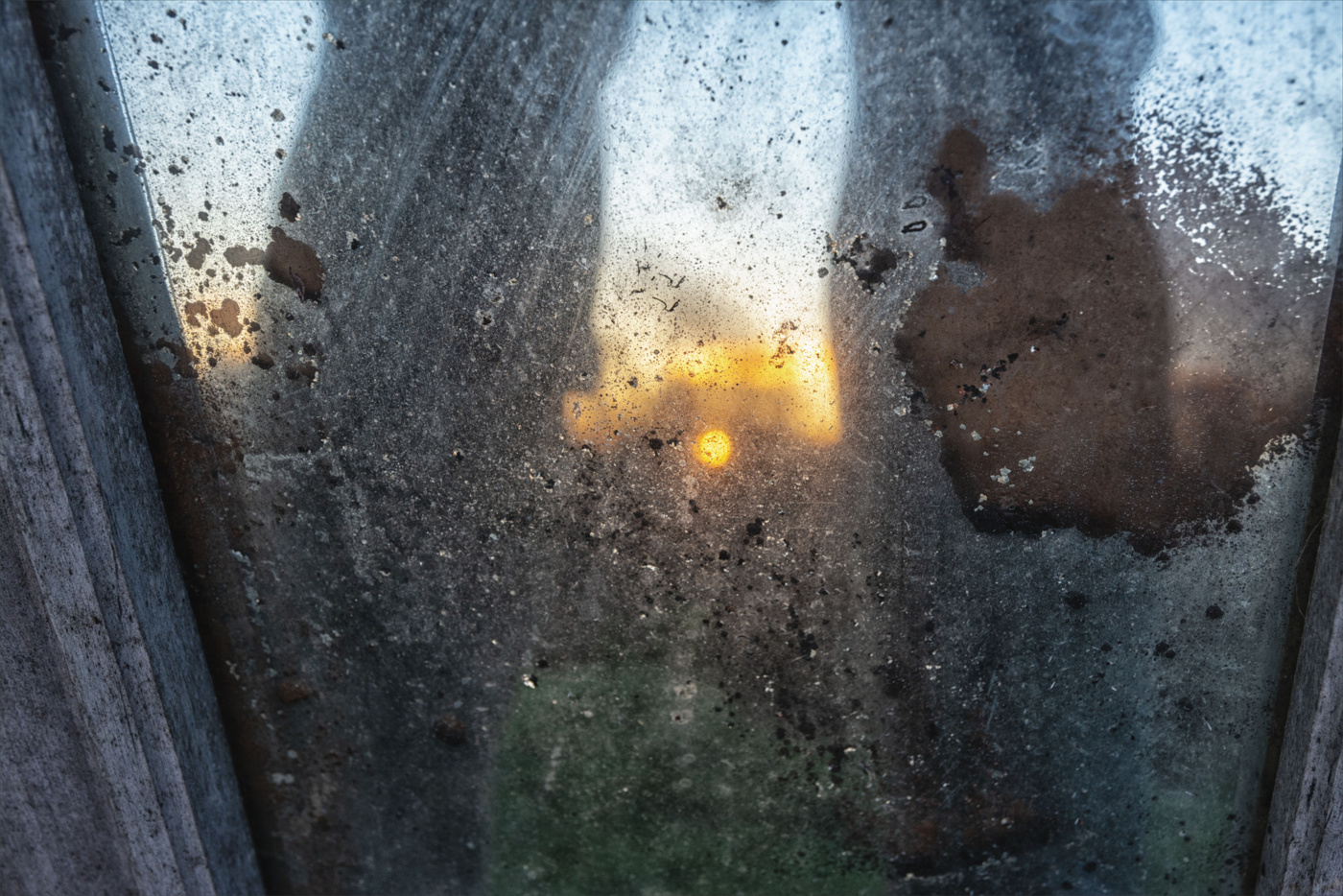 Жизнь вокруг