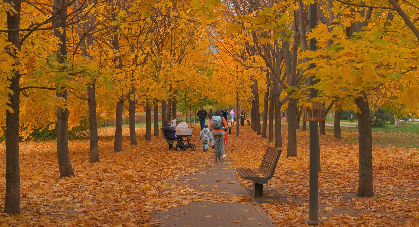 Осень на Ходынке