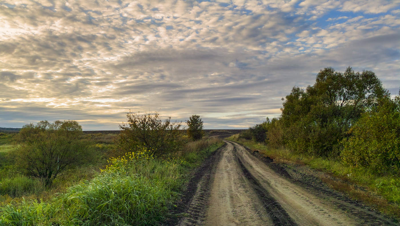 Осенняя дорога