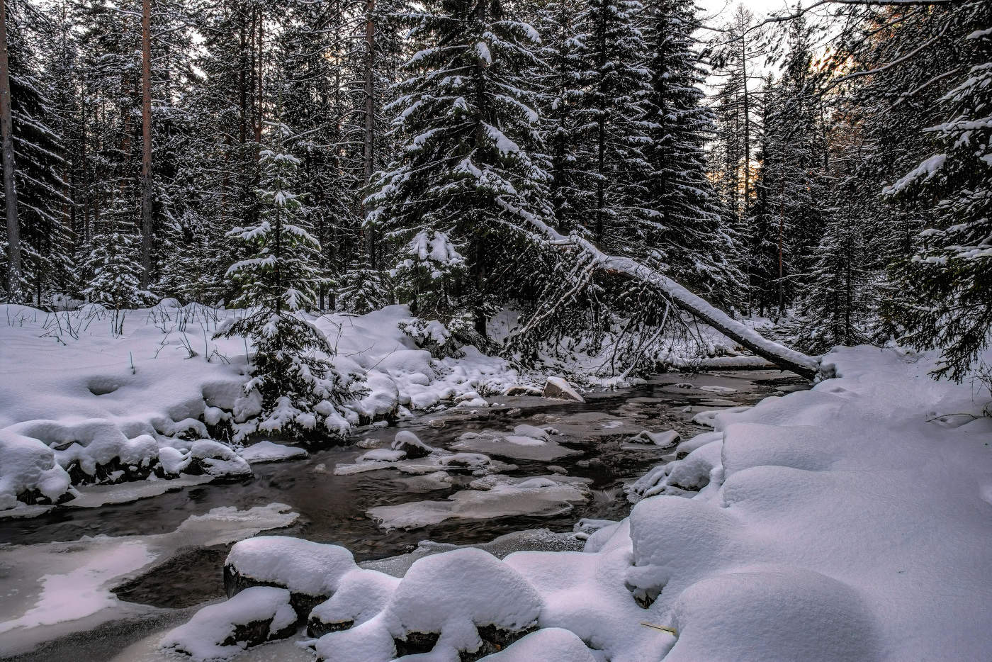 Первый снег