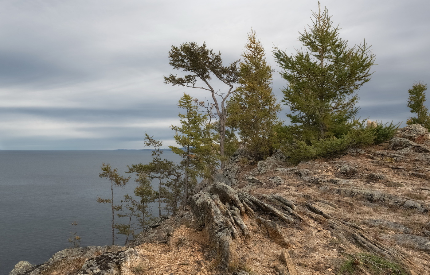 Берег Ольхона