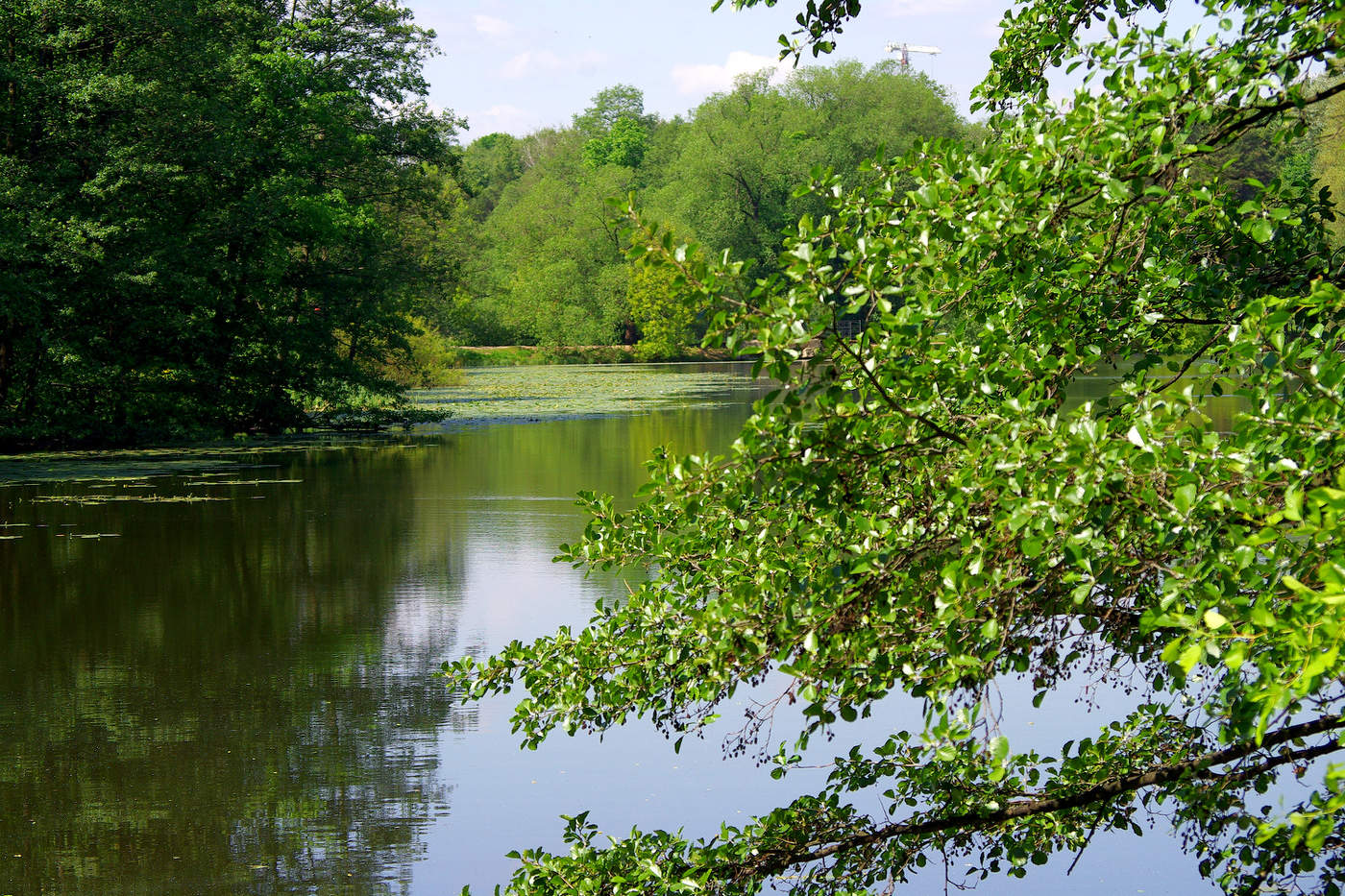 Нижний Кузьминский пруд