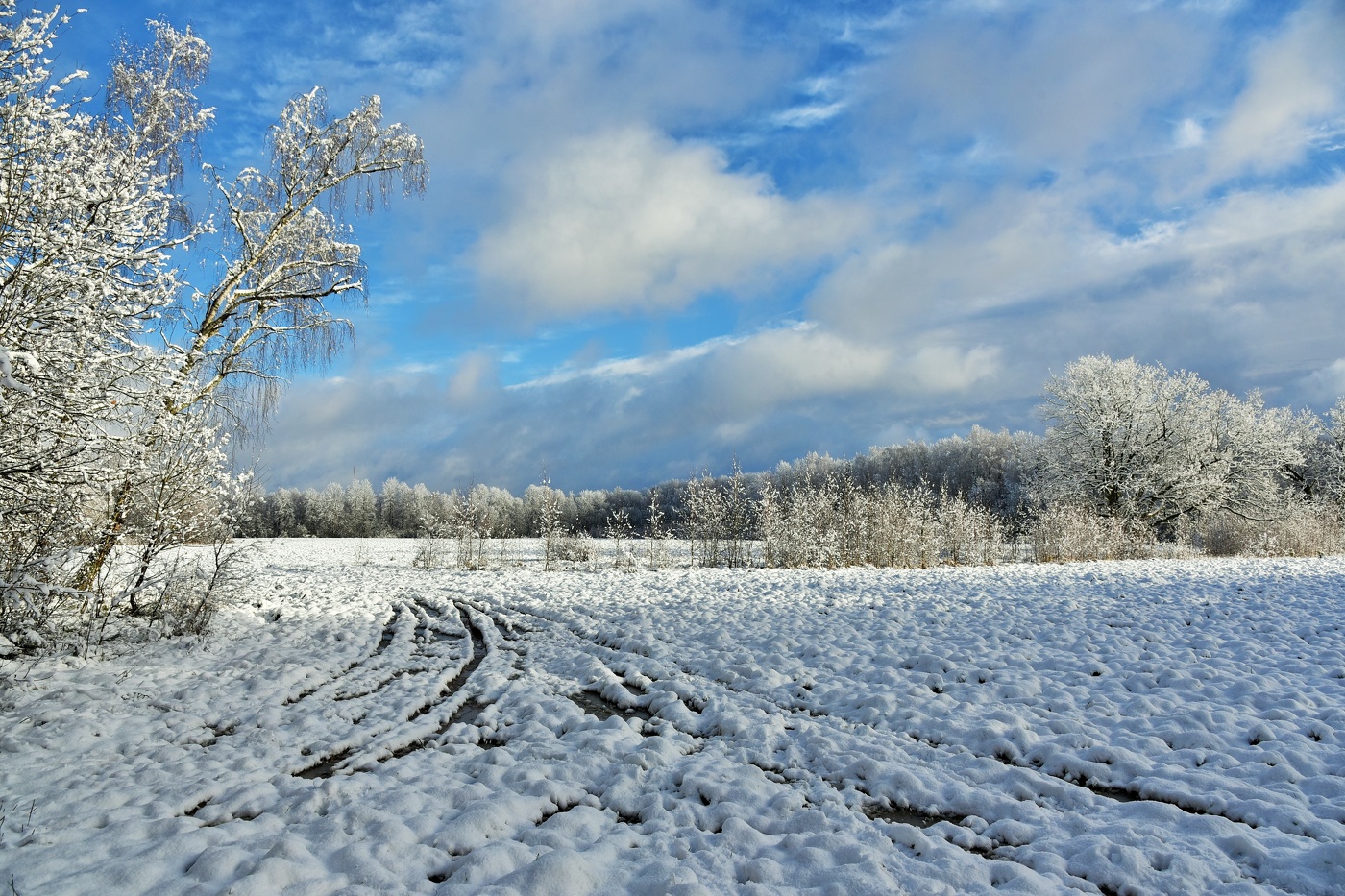 "Между рваных облаков, кое-как пробилось солнце ..."
