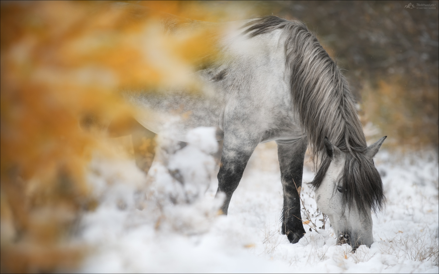 Вкус тишины