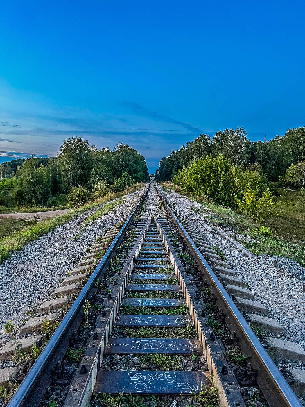 Дорога вдаль