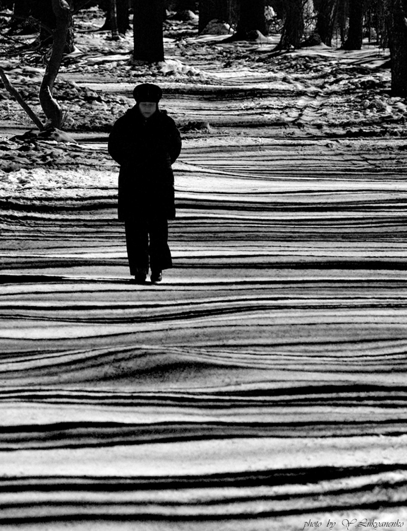 Жизнь полосатая...