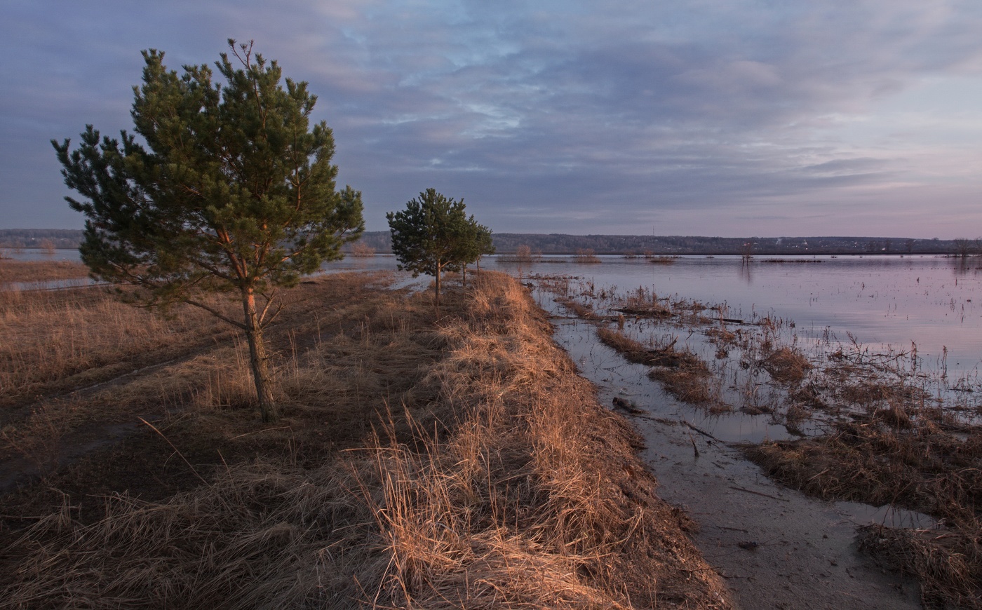 С половодья уцелевшие