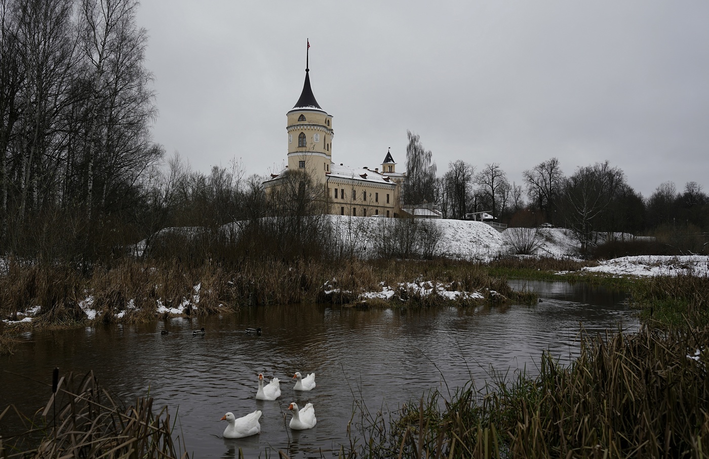 Четыре гуся