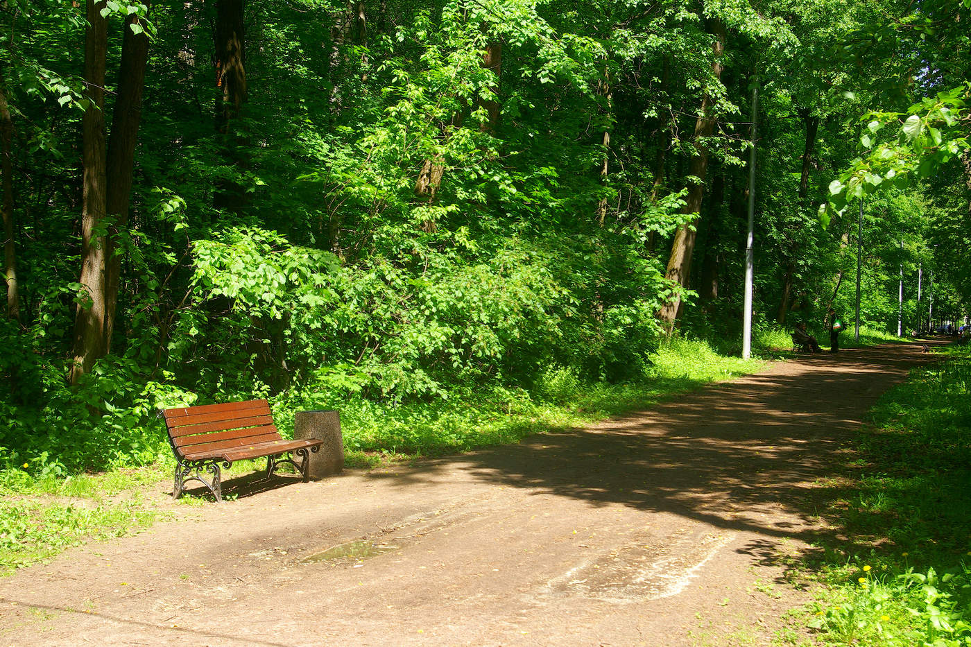 Кузьминский парк