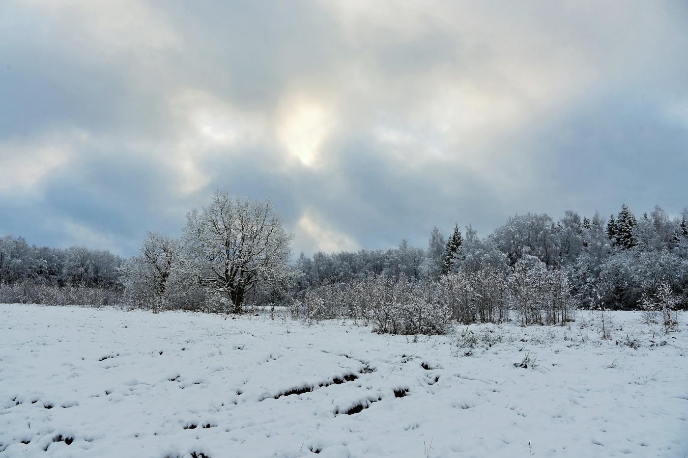 "Ноябрь месяц - это тоже осень, хоть грустный и тоскливый он ..."