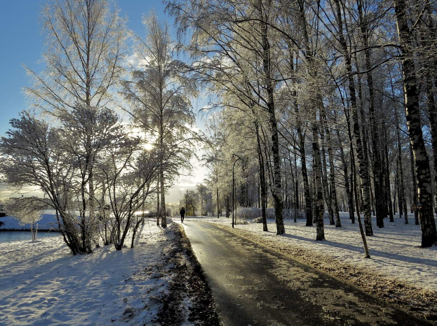 Солнце ноября