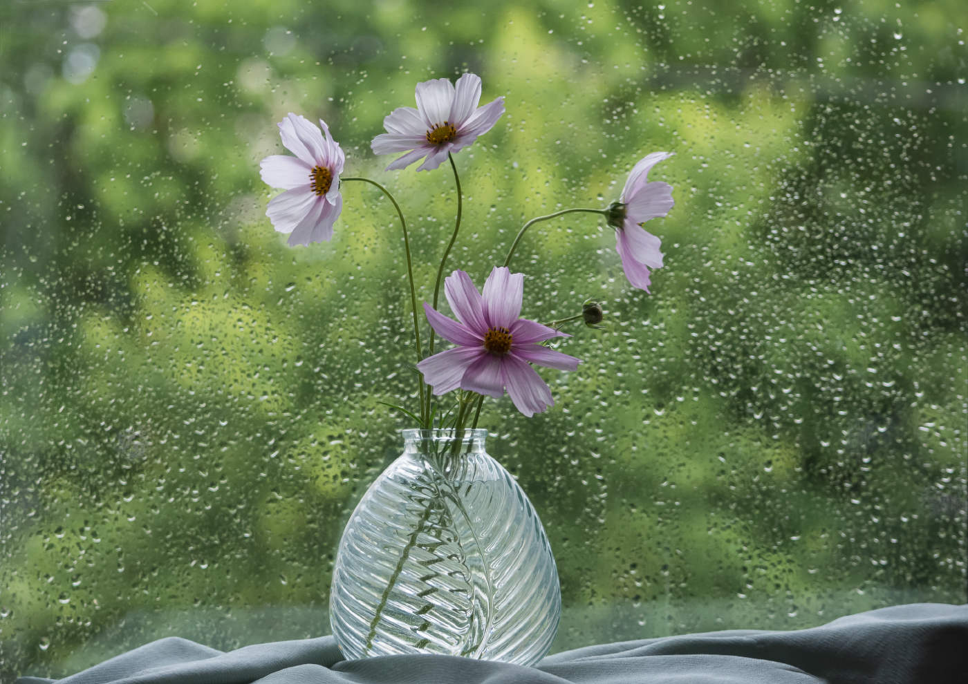 Был за окном июньский дождь...