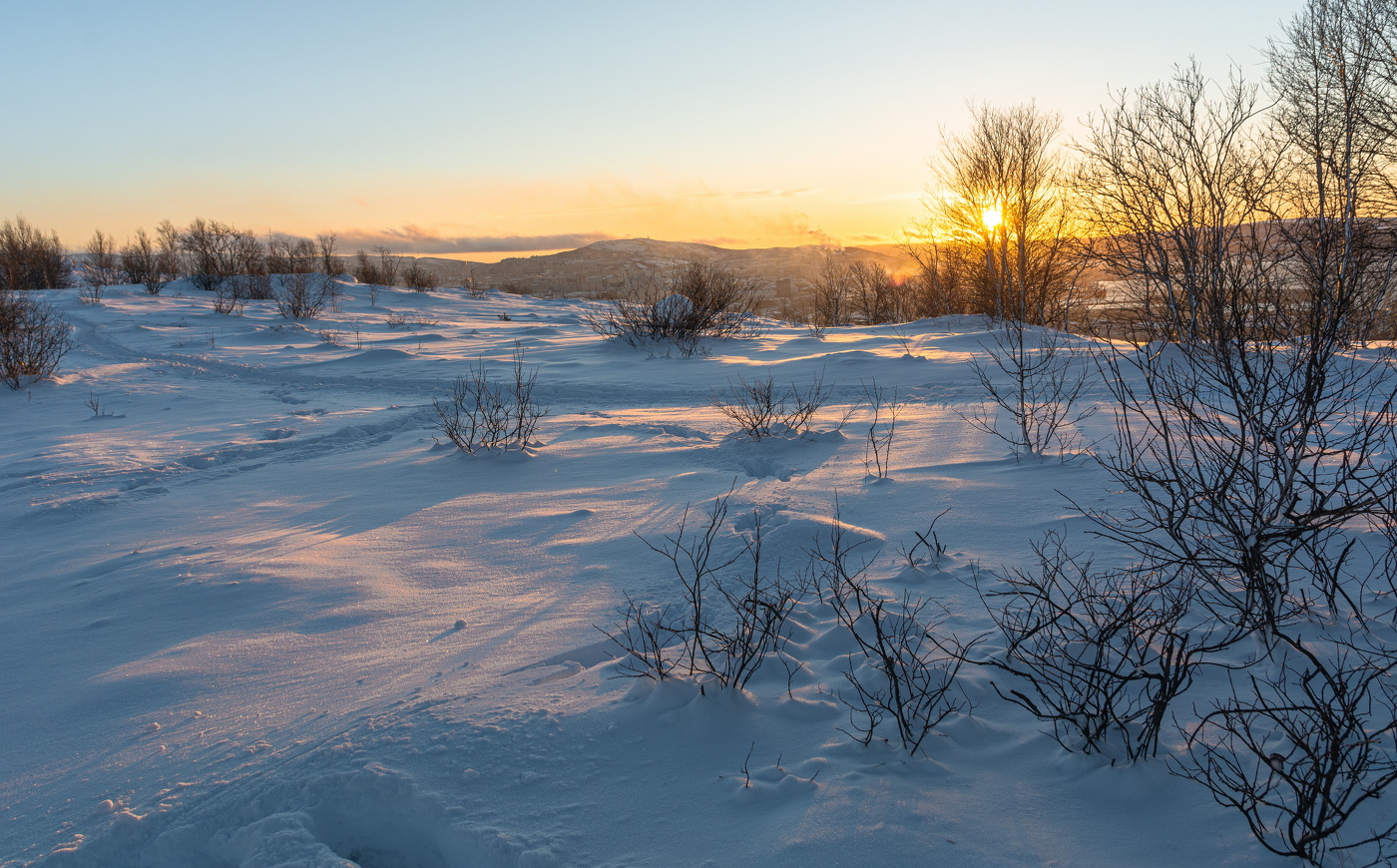 низкое ноябрьское солнце