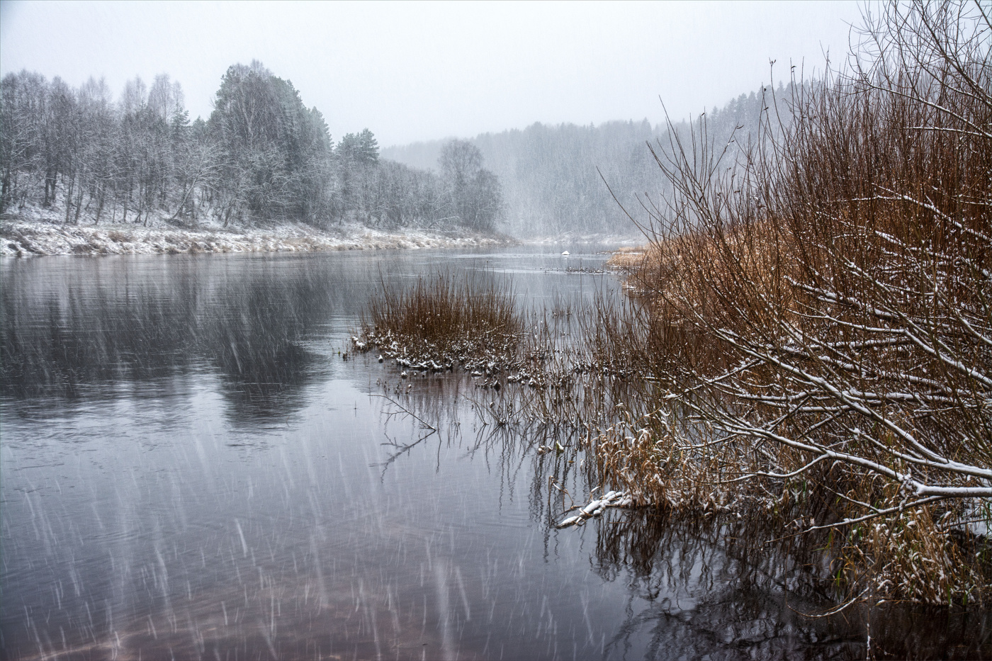 Жизнь вокруг