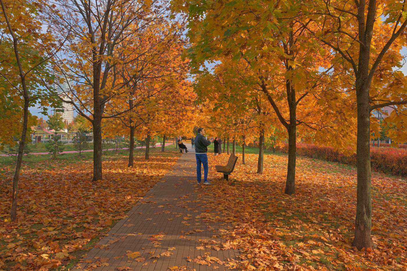 Осень на Ходынке