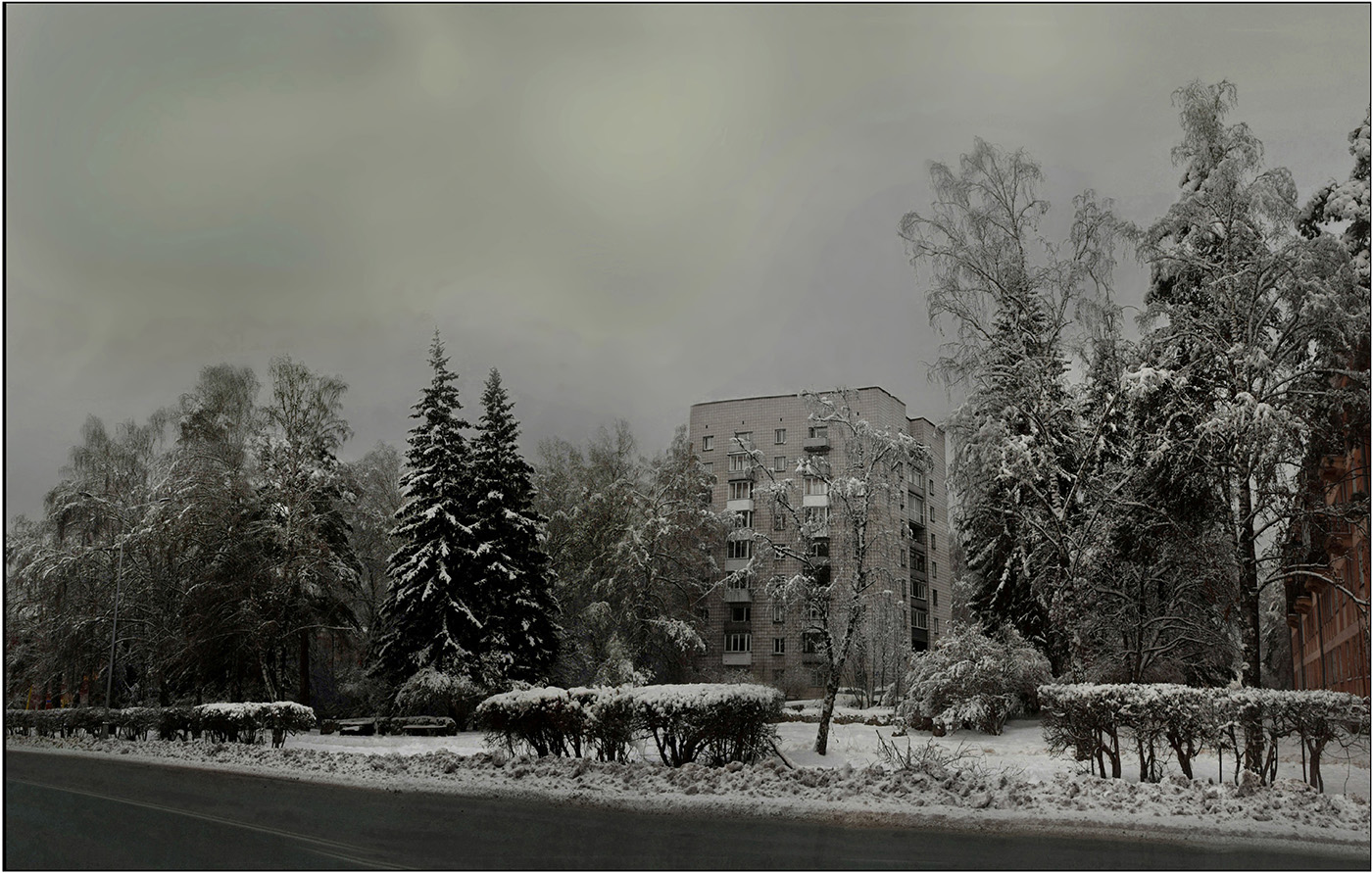 Новосибирский Ноябрь