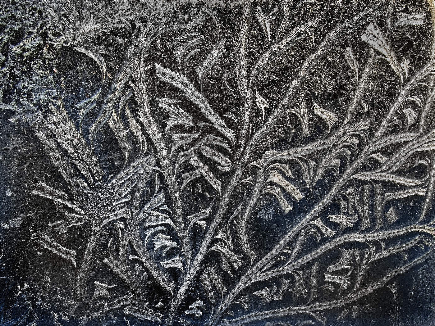 Художник Мороз