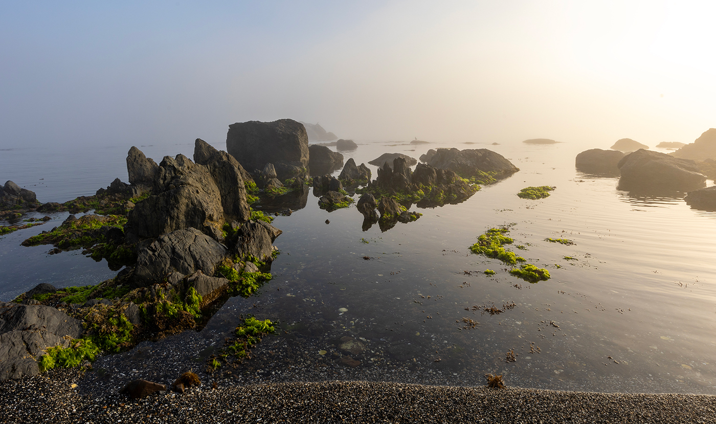 Туман в стране Оз