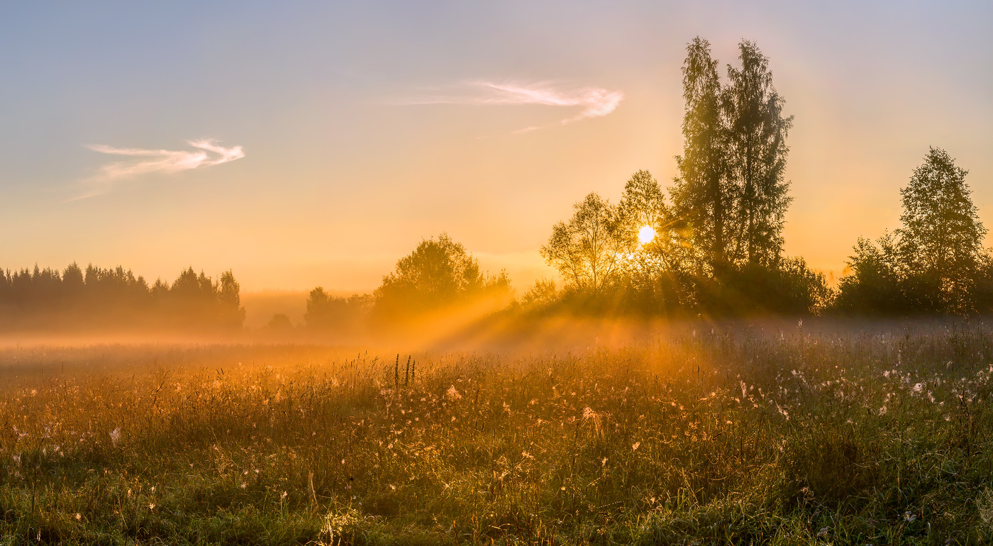 Из серии «Пейзажные картины»