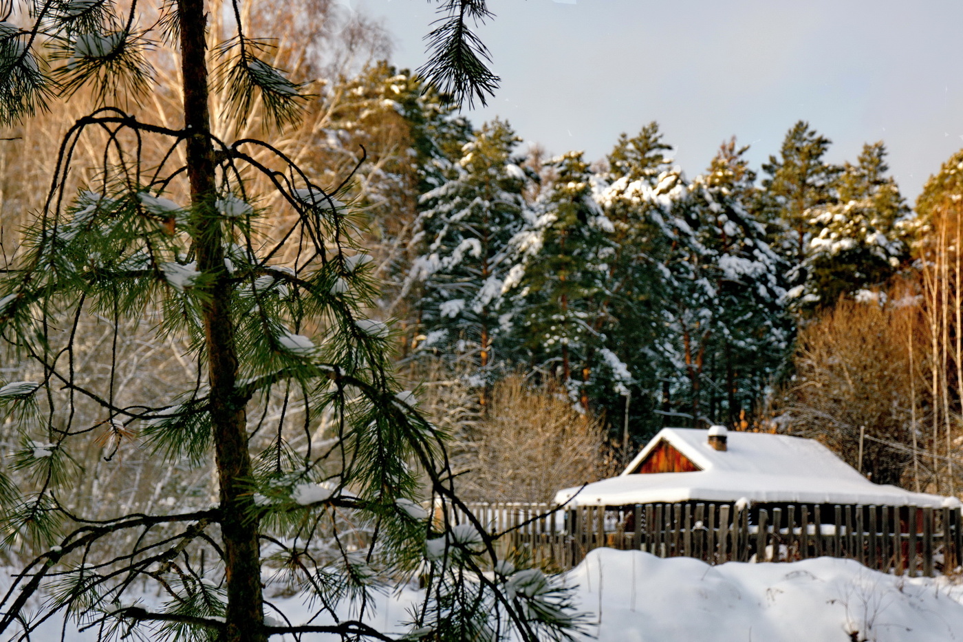 Ноябрьским днём.