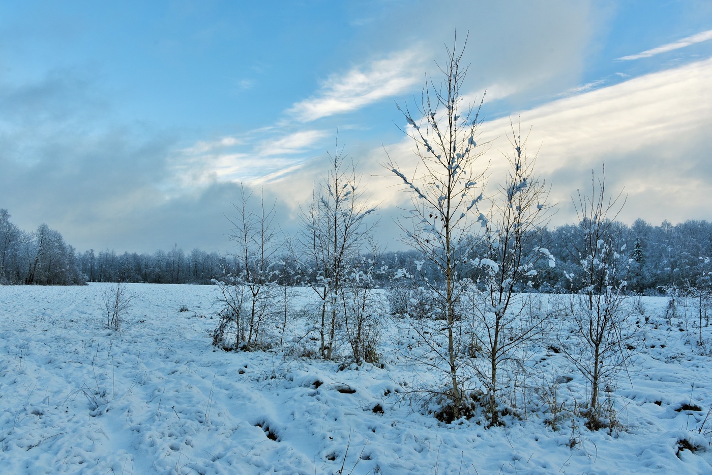 "А осень ушла, хоть порой и не верится ..."