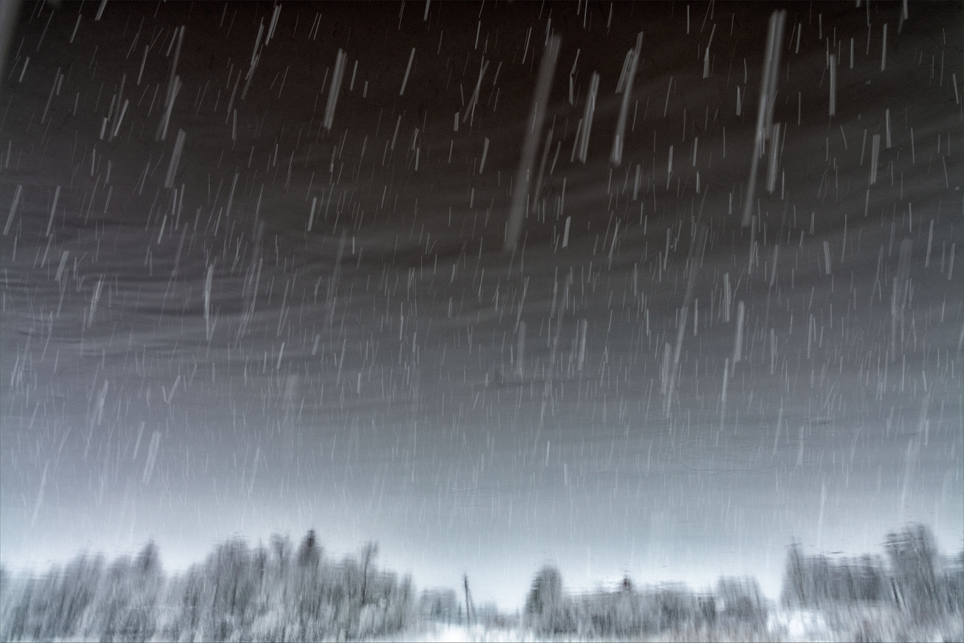 Жизнь вокруг