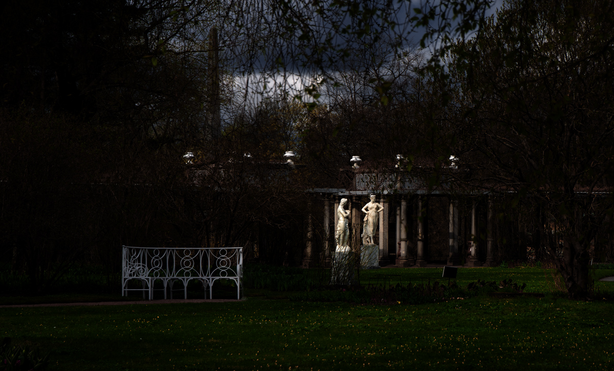 Царскосельские парки 6