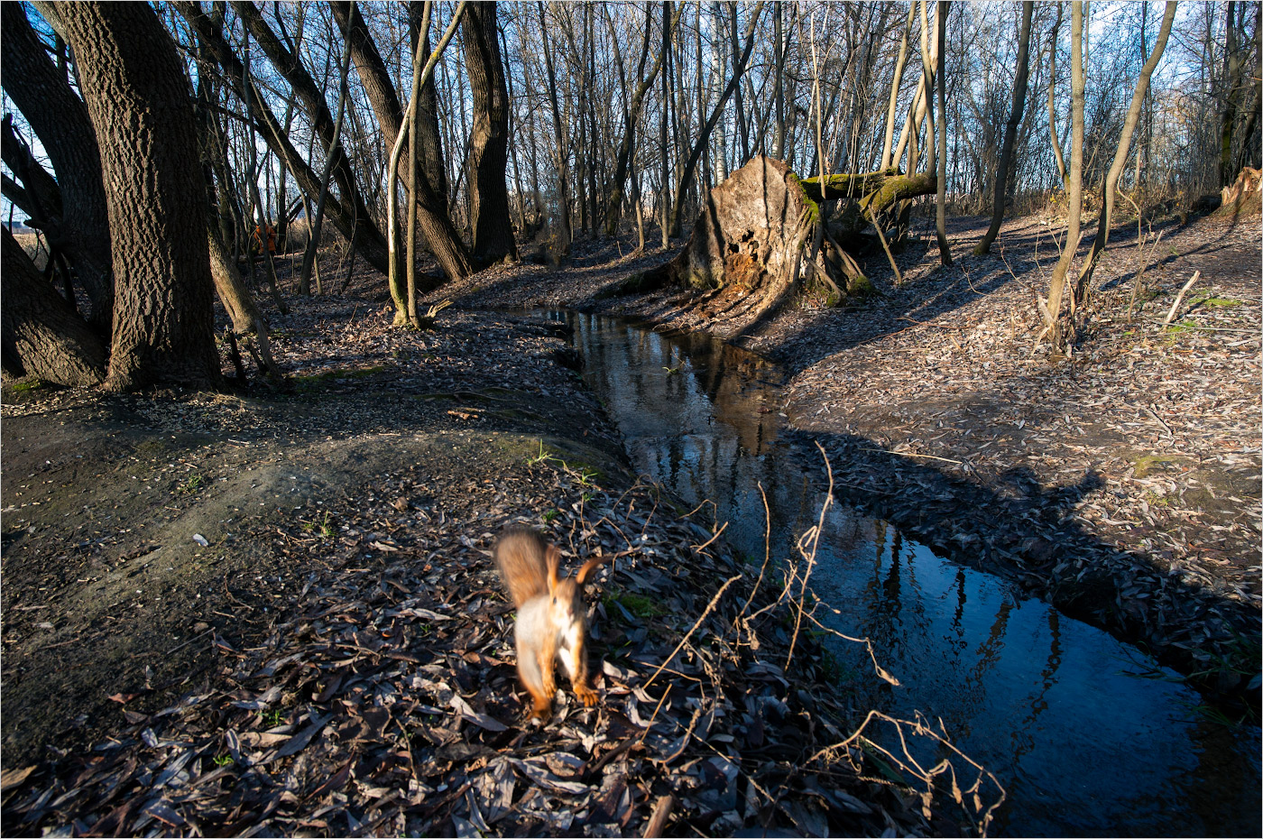 последнее фото