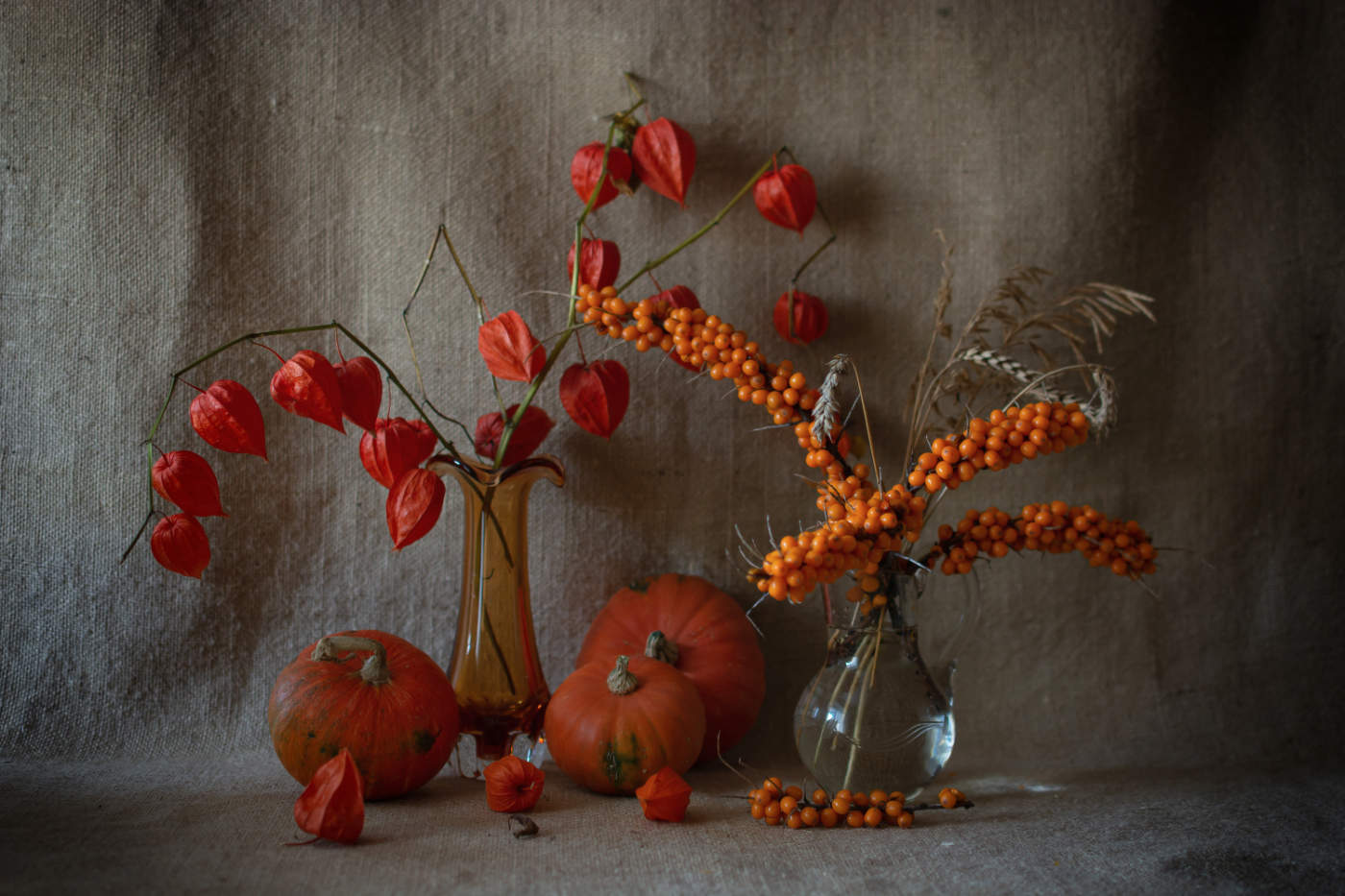 Оттенки рыжей осени...