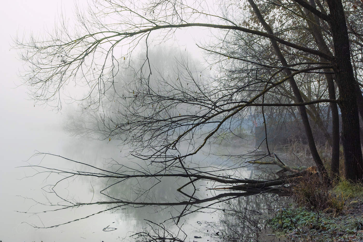 Грустит ноябрь