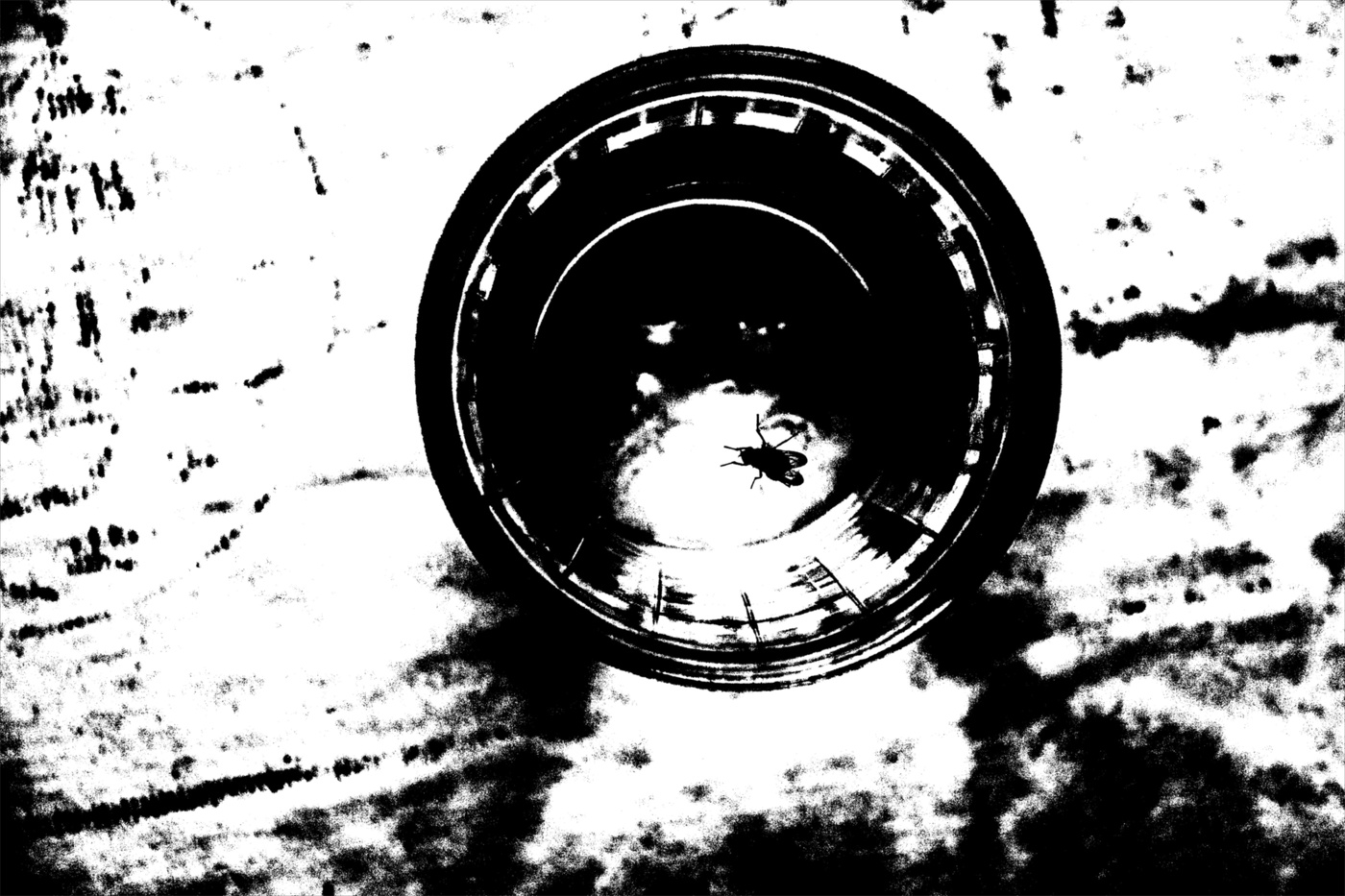 Жизнь вокруг