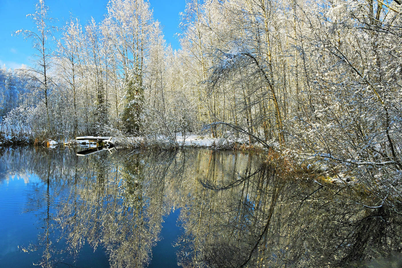 "Уже ноябрь, почти что на исходе ..."