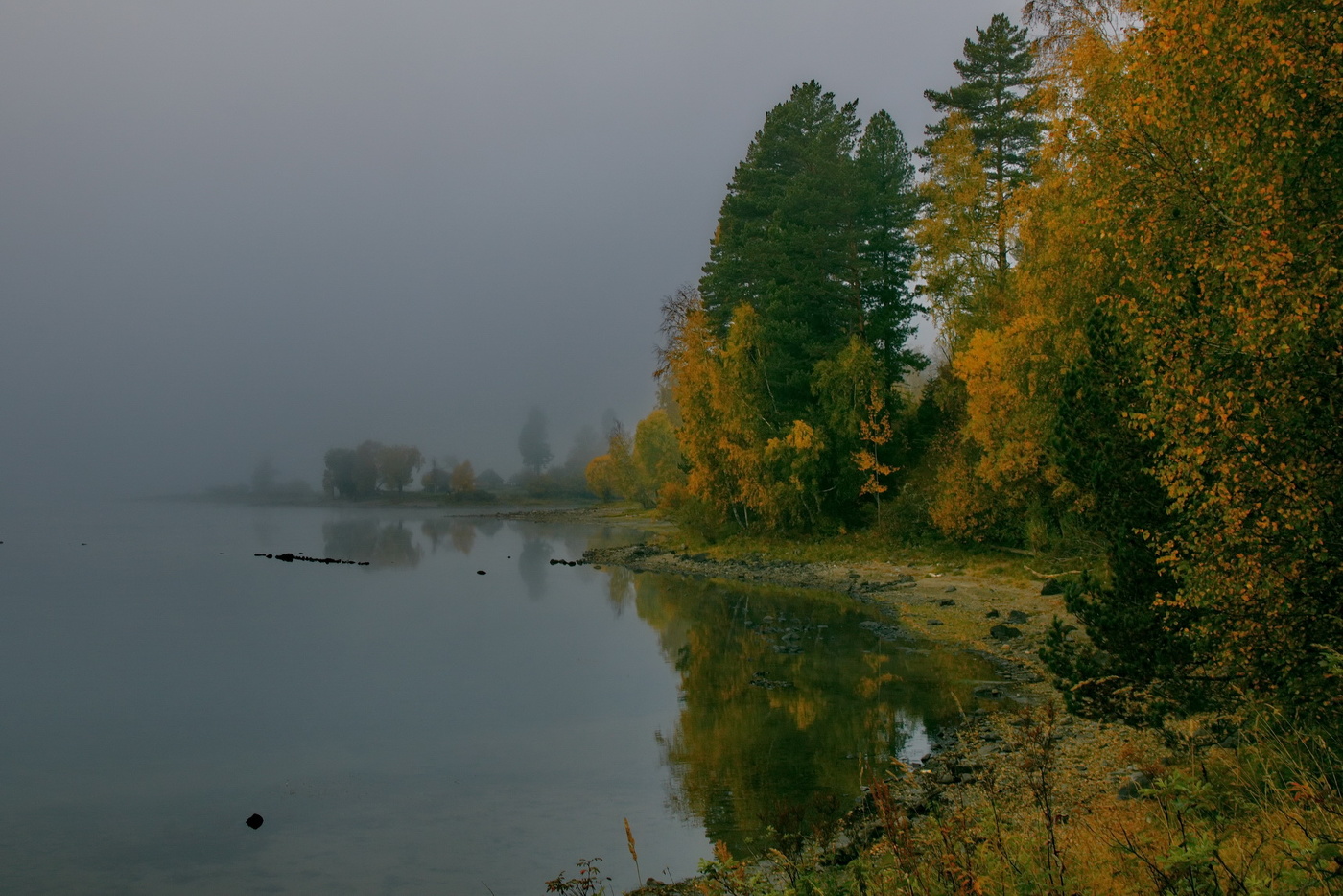 Осеннее утро.