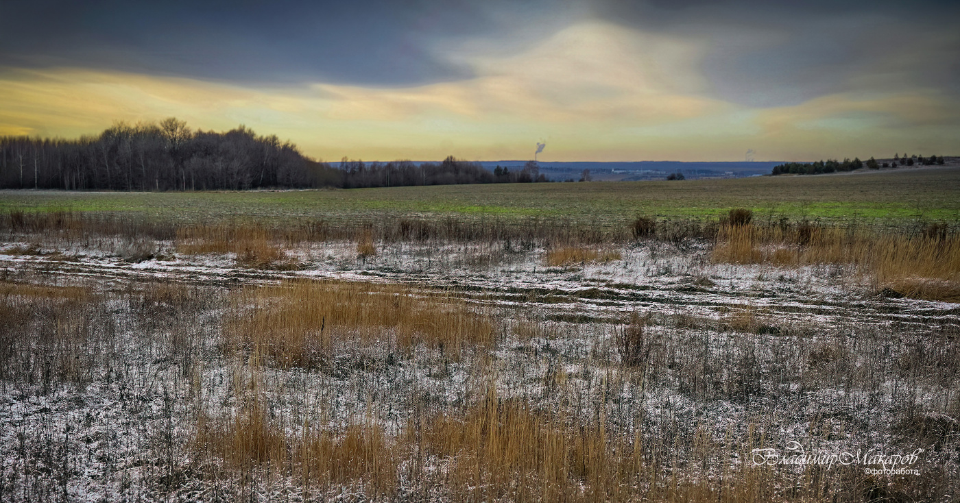 "Озимые в предзимье. Колея"©