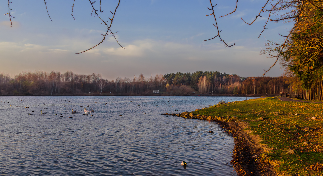 Вечерняя прогулка