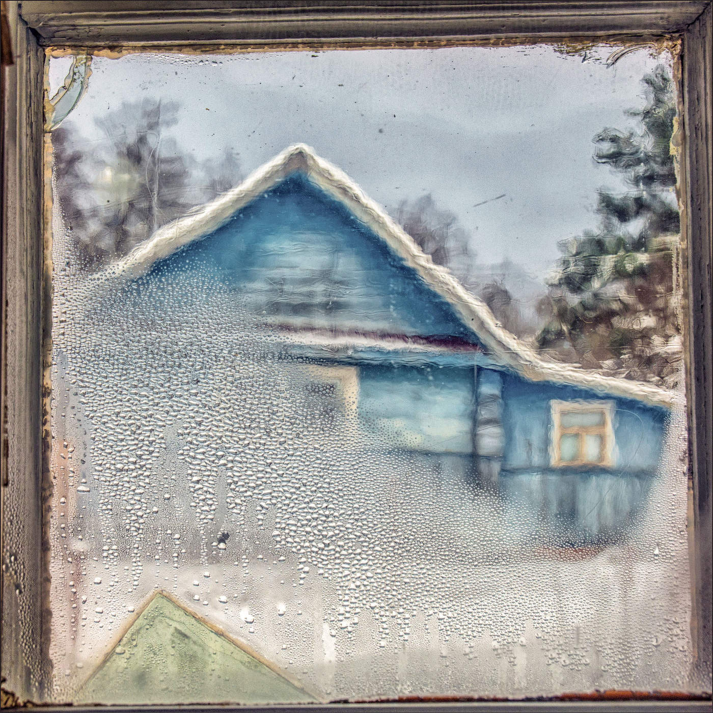 Жизнь вокруг