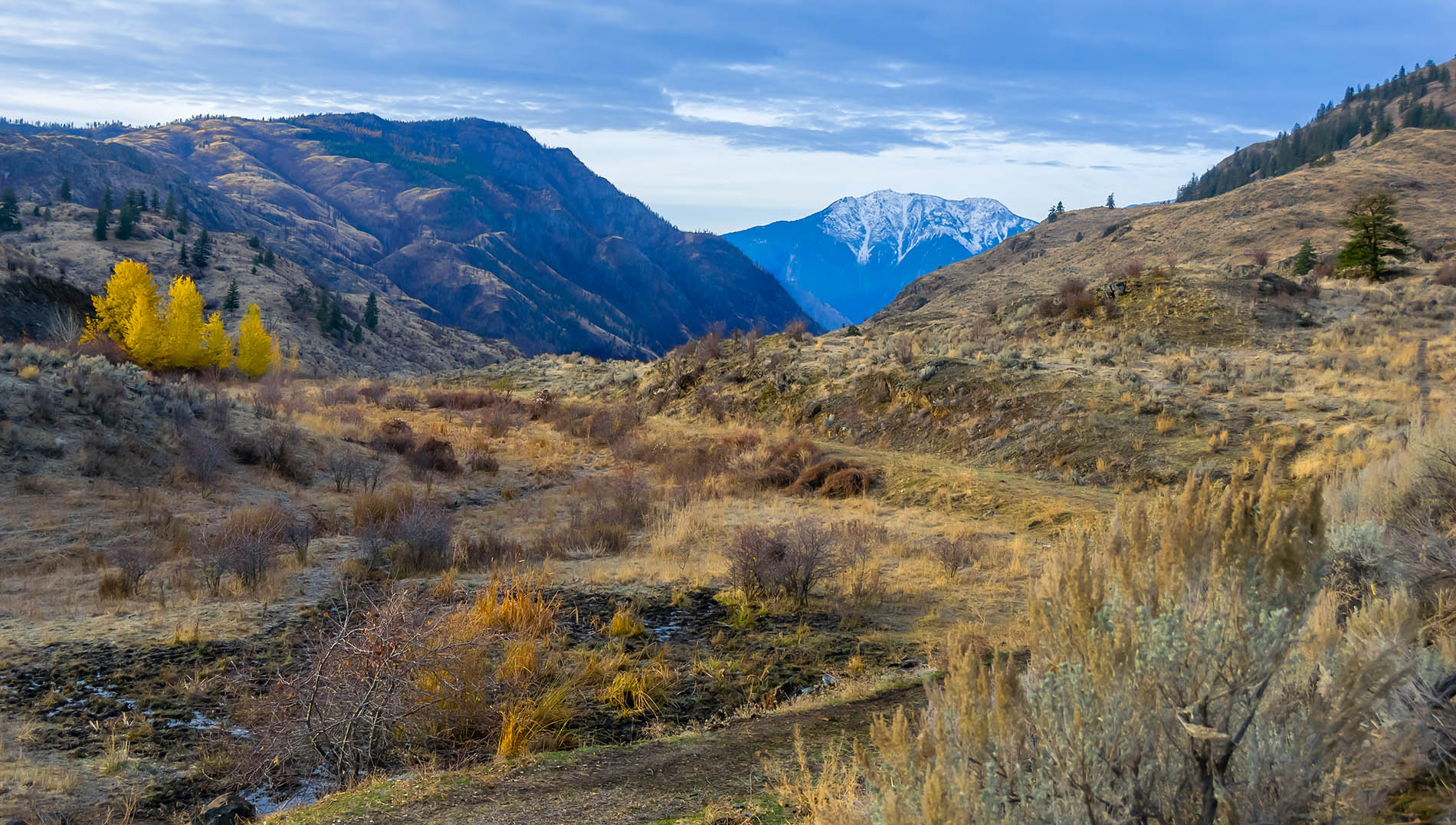 Осенние склоны