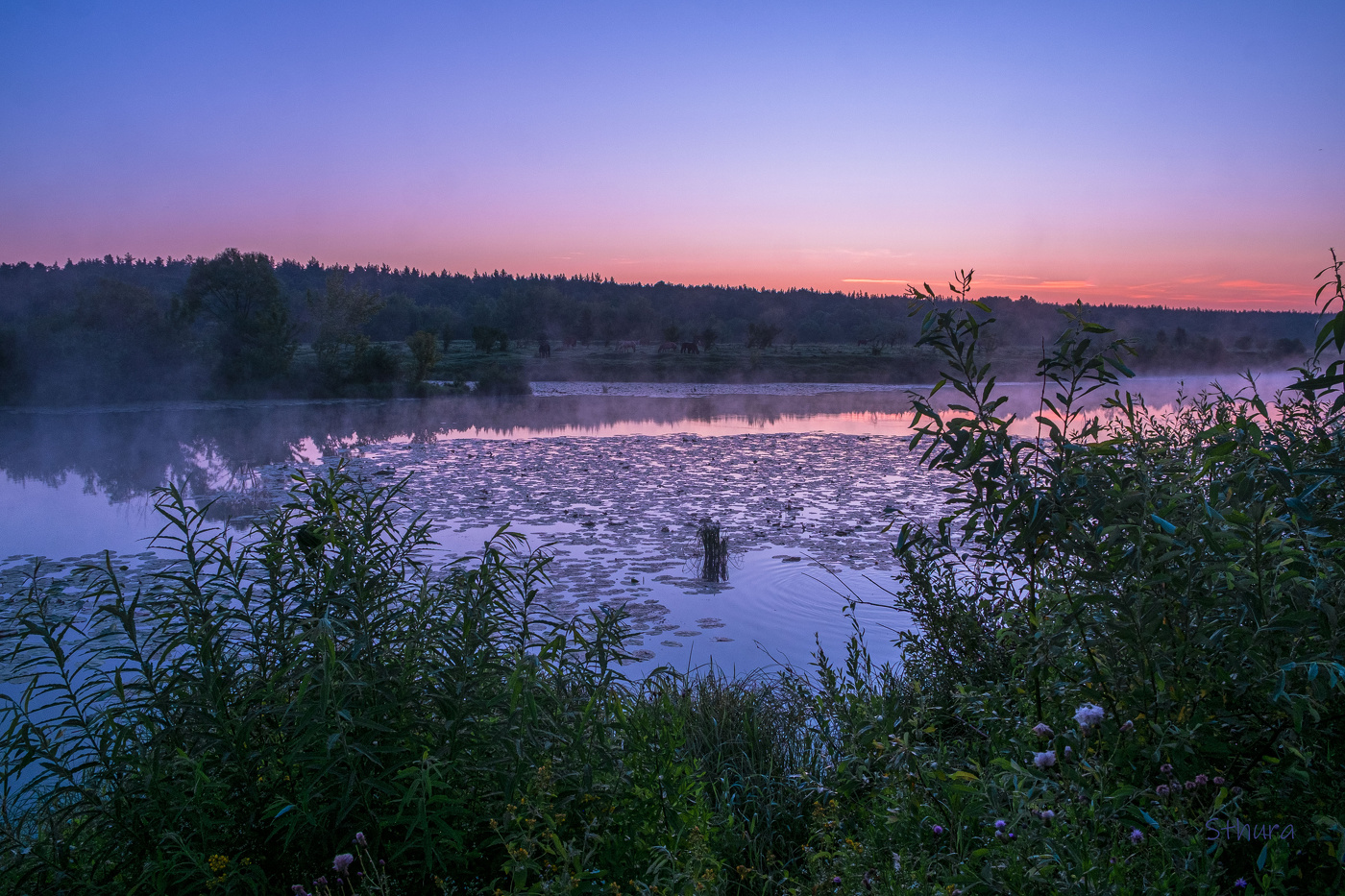 Перед восходом.