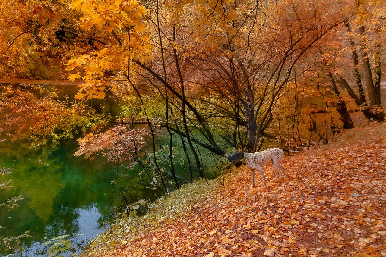 замаскироваться не удалось